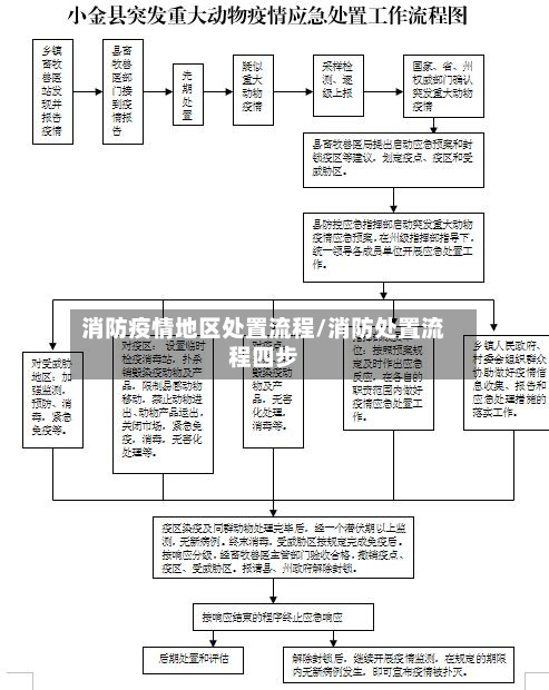 消防疫情地区处置流程/消防处置流程四步