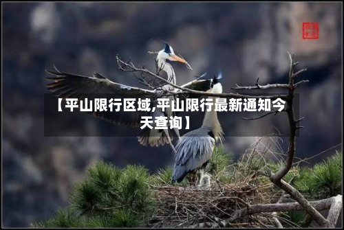 【平山限行区域,平山限行最新通知今天查询】