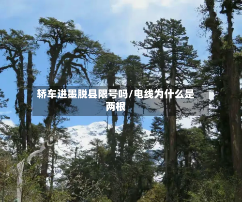 轿车进墨脱县限号吗/电线为什么是两根-第2张图片