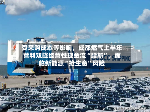 受采购成本等影响，成都燃气上半年营利双降经营性现金流“腰斩	”	，面临新能源“抢生意”风险-第1张图片