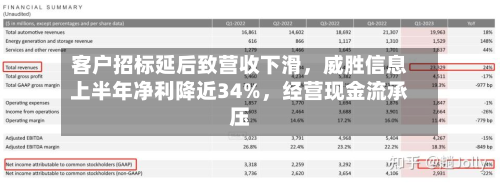 客户招标延后致营收下滑	，威胜信息上半年净利降近34%，经营现金流承压-第3张图片