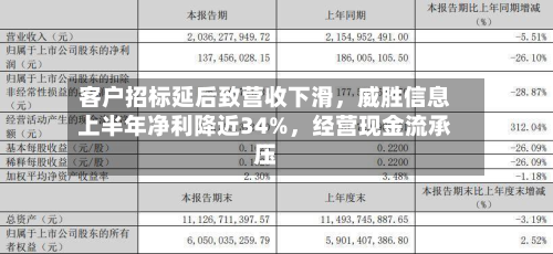 客户招标延后致营收下滑，威胜信息上半年净利降近34%，经营现金流承压-第2张图片