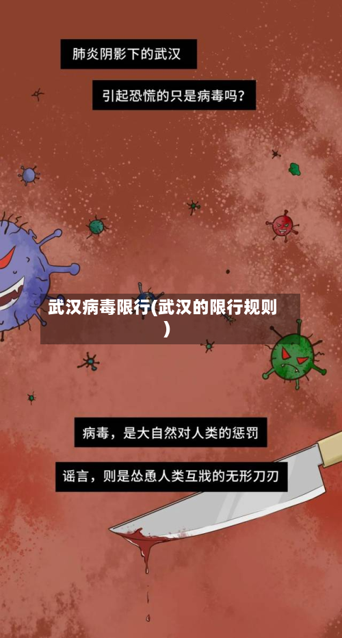 武汉病毒限行(武汉的限行规则)