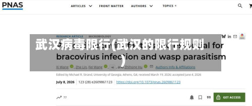 武汉病毒限行(武汉的限行规则)-第2张图片