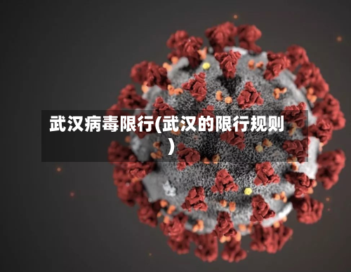 武汉病毒限行(武汉的限行规则)-第3张图片