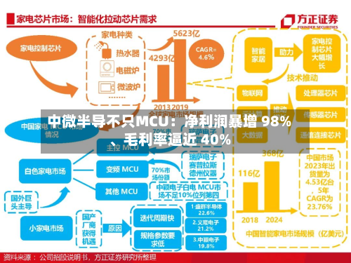 中微半导不只MCU：净利润暴增 98%、毛利率逼近 40%-第2张图片