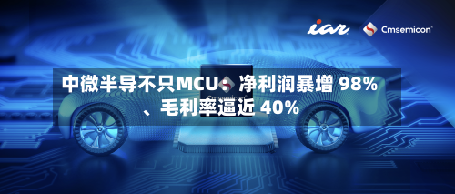 中微半导不只MCU：净利润暴增 98%、毛利率逼近 40%-第3张图片