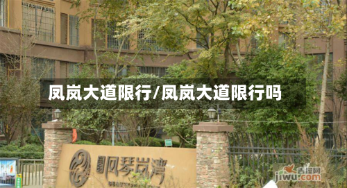 凤岚大道限行/凤岚大道限行吗-第3张图片