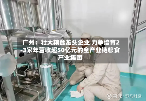 广州：壮大粮食龙头企业 力争培育2-3家年营收超50亿元的全产业链粮食产业集团-第2张图片