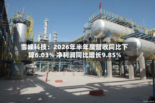 雪峰科技：2026年半年度营收同比下降6.03% 净利润同比增长9.85%-第2张图片