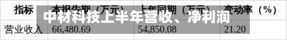 中材科技上半年营收	、净利润均增逾20%-第2张图片