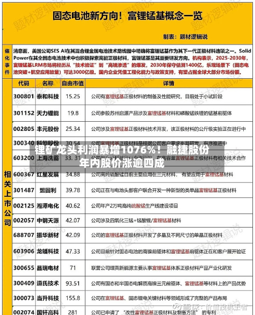 锂矿龙头利润暴增1076%!融捷股份年内股价涨逾四成-第3张图片