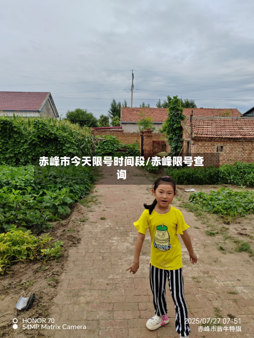 赤峰市今天限号时间段/赤峰限号查询-第2张图片