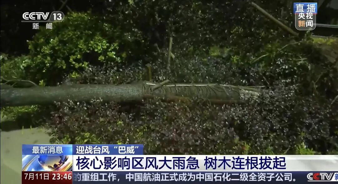 “巴威”最新路径公布！0时在浙江乐清二次登陆，5时减弱为强热带风暴	，中心最大风力11级