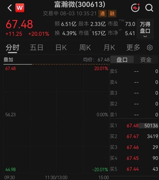 百亿龙头富瀚微，“一”字涨停